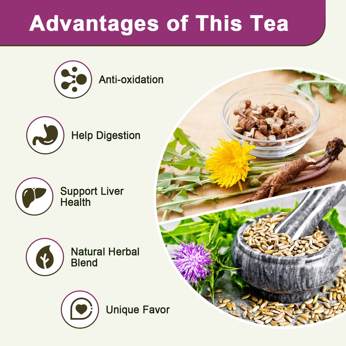 Organic Roasted Dandelion Root Tea with Milk Thistle Tea - Supports Kidney Function and Liver Function, 30 Tea Bags