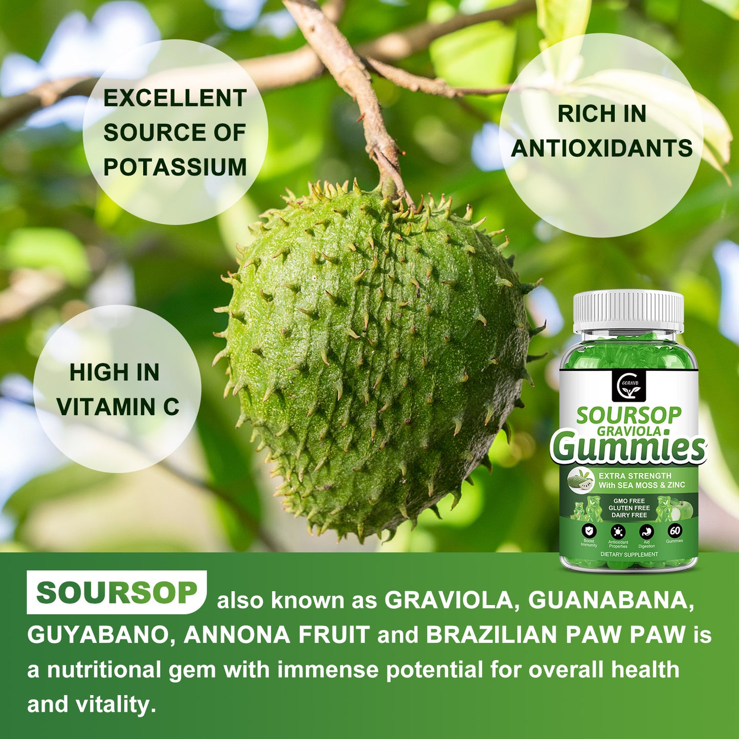 (2 Pack) Soursop Graviola Gummies - 2200mg Extra Strength Soursop Leaves Extract w/Sea Moss Extract 200mg, Zinc & Vitamin C - Supports Immunity, Liver & Digestive, Gluten Free, Vegan, 120 Gummies