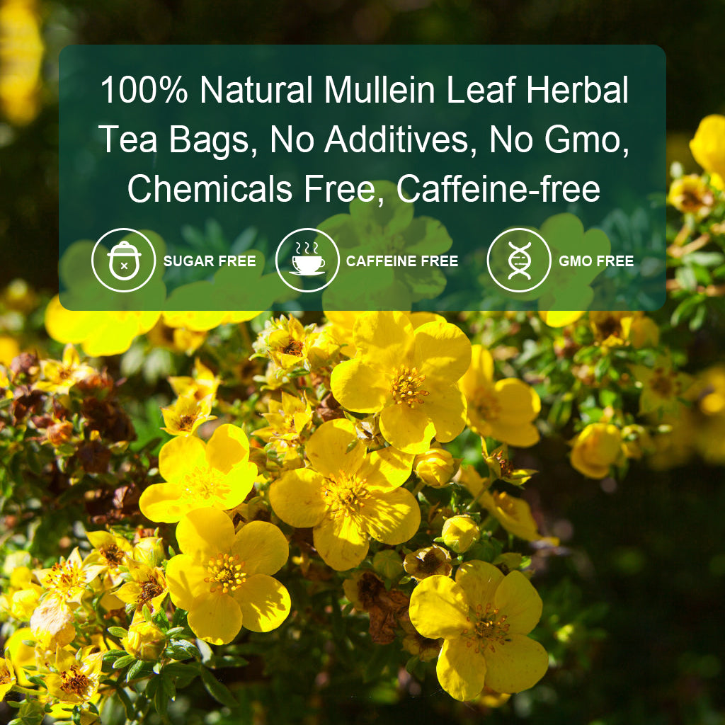 Mullein Leaf Tea Bags - Lungs Health Respiratory Support Mullein Herbal Teas, Caffeine Free, 40 Tea Bags